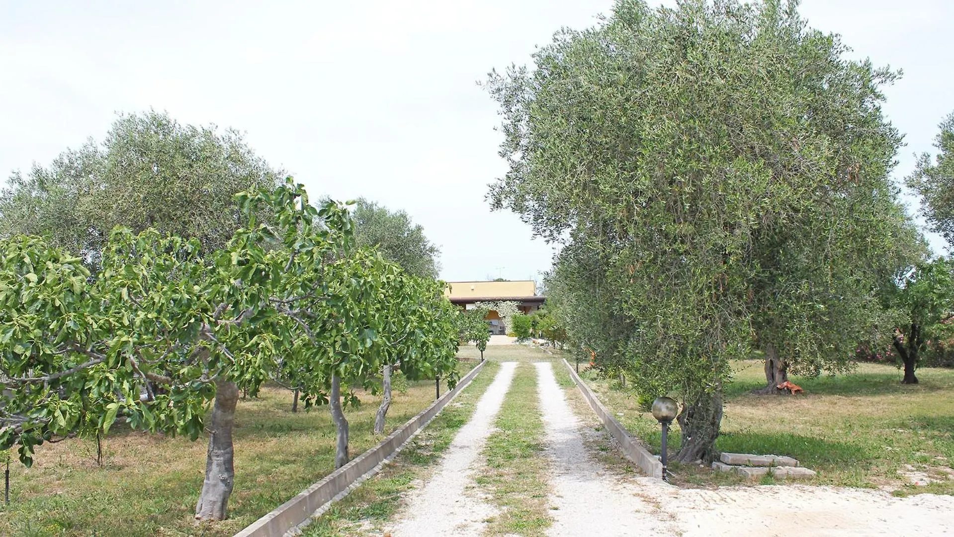 Bed and Breakfast Le Sete Bari 0*,  Włochy