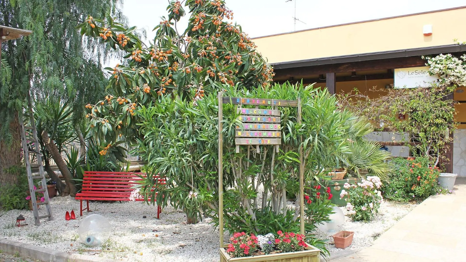 Nocleg ze śniadaniem Bed and Breakfast Le Sete Bari